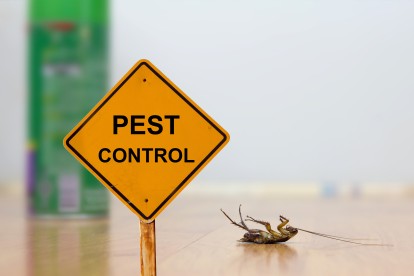 Pest Contol in Purfleet, RM19. Call Now 020 8166 9746