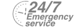 24/7 Emergency Service Pest Control in Purfleet, RM19. Call Now! 020 8166 9746